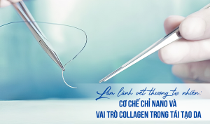 Cơ chế chỉ Nano và vai trò Collagen trong tái tạo da