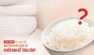 Ăn cơm có thực sự là thủ phạm gây tăng cân